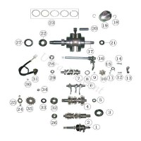 Guarnizione spy per scatola cambio per quad Shineray 250STXE (14x22x5) Bilder 2