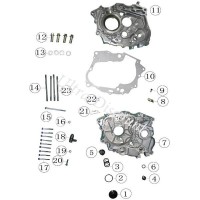 Grano guida puntalino frizione per quad Shineray 250cc STXE Bilder 2
