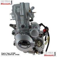 Motore per Quad Shineray 250cc Racing (167MM)