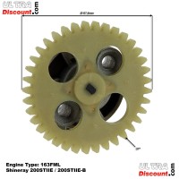 Pompa olio per Quad Shineray 200cc STIIE (163FML) Bilder 1