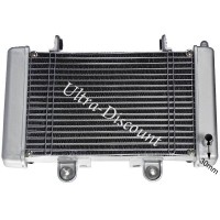 Radiatore per Quad Shineray 250 cc Racing ST-9E Bilder 2