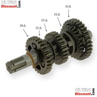 Pignoneria cambio per Quad Shineray 200cc STIIE (tipo 1) Bilder 1