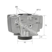 Kit cilindro per Pit Bike ( LIFAN : 1P56FMJ )