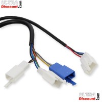 Kit presa acceleratore elettrico Citycoco Shopper Bilder 1