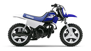 ricambi YAMAHA PW50