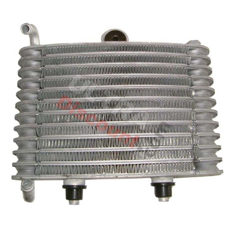 Radiatore per mini moto Polini GP3, Ricambi Polini 911 GP3