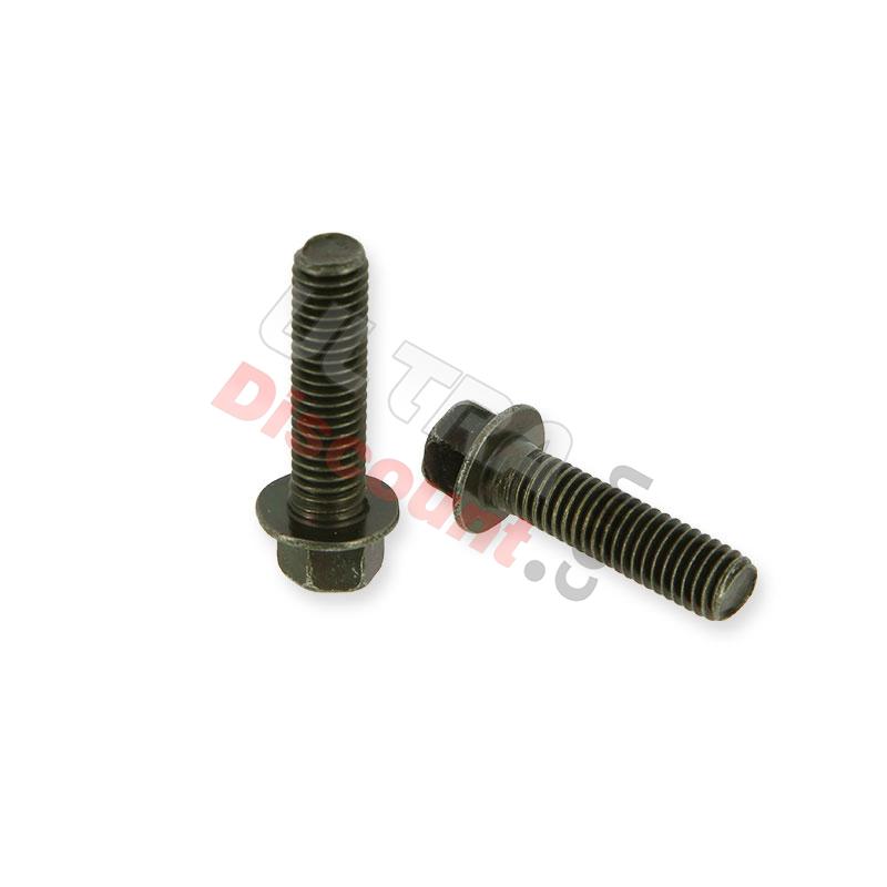 Coppia di viti M8 30mm Quad telaio, Strumenti e viti