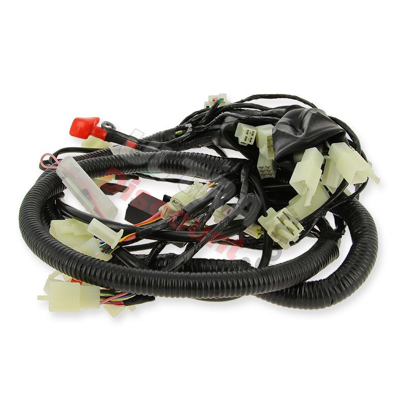 cablaggio elettrico (efi) per Quad Spy Racing 350F3, Ricambi Quad SPY350F3