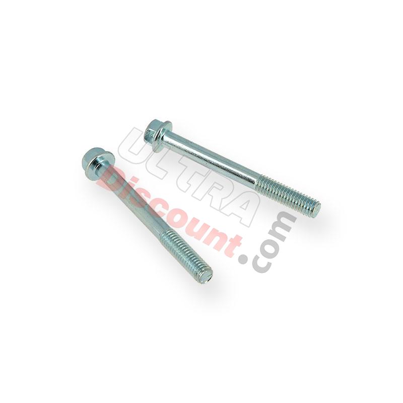 Coppia di viti M6 60mm motore Quad, Strumenti e viti