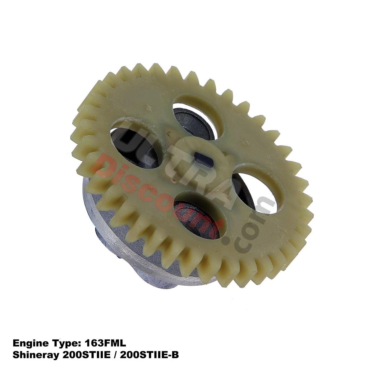 Pompa olio per Quad Shineray 200cc STIIE (163FML), Ricambi Shineray 200STIIE e STIIEB Pompa olio per Quad Shineray 200cc STIIE (163FML), Ricambi Shineray 200STIIE e STIIEB