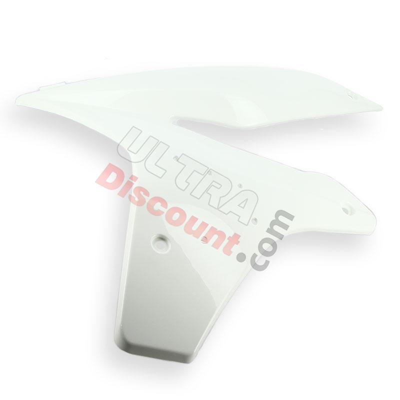 Carena parte sinistra per Quad Shineray 250cc STXE - BIANCO, Ricambi Shineray 250 STXE