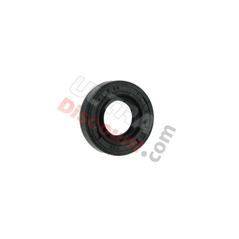 Guarnizione spy per pedale cambio per Quad Shineray STIIE 200cc (14x28x7), Ricambi Shineray 200STIIE e STIIEB Guarnizione spy per pedale cambio per Quad Shineray STIIE 200cc (14x28x7), Ricambi Shineray 200STIIE e STIIEB