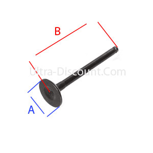 Coppia di valvole per motore di Pit Bike 125cc 1P54FMI Bilder 1