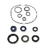 Kit guarnizioni olio 125cc per Trex Skyteam EURO4, Ricambi Trex Skyteam