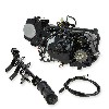 Motor 125cc Euro3 per Skyteam T-Rex (Nero), Ricambi Trex Skyteam