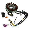Statore magnetico di avviamento per Quad Shineray 250cc ST-9E (typo2), Ricambi quad 250cc STIXE ST9E