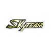 Adesivo in plastica con logo SkyTeam per E-mini, Parti E-mini Skyteam