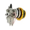 Kit carburatore 12 per mini Bike (Oro), Ricambi Mini Moto