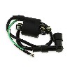 Bobina di avviamento per Pit Bike + pipetta schermata tipo 1, Ricambi Pit Bike