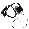 Bobina di avviamento per Pit Bike + pipetta schermata tipo 2, Ricambi Pit Bike