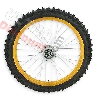Ruota anteriore 19'' per Pit Bike AGB30 - oro, Ricambi Pit Bike