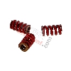 Molle per frizione 3 masse Dure (rosse), Ricambi Polini 911 GP3
