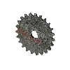 Pignone per pompa dell'olio per motore Quad Shineray 150cc (XY150STE), Ricambi Shineray 150 STE