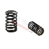 Molle per valvola per Quad Shineray 150cc (XY150STE), Ricambi Shineray 150 STE