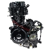 Motore per Quad Shineray 250cc STXE 167FMM, Ricambi Shineray 250 STXE