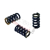 Molle per frizione 3 masse medie (blu), Ricambi Pocket Blata MT4