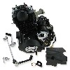 Motor 50cc vertical (139FMA-2) per Skyteam ACE, Ricambi Ace Skyteam