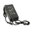 CARICABATTERIA 60V 2A  XLR spina model DZL601001 per Citycoco, Ricambi Citycoco