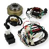 Sistema avviamento completo per Pit Bike 125cc avviamento elettrico, Ricambi Pit Bike