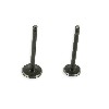 Coppia di valvole per Quad 125cc 1P54FMI, Ricambi Quad 110cc - 125cc