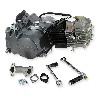 Motore Lifan 140cc per Pit Bike 1P55FMJ, Ricambi Pit Bike