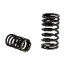 Molle per valvola per Quad Shineray 150cc (XY150STE), Pezzi Quad Shineray 250 ST9C
