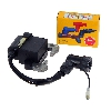 Bobina avviamento per mini Pocket Replica R1 con pipette schermate NGK, Ricambi Pocket replica R1