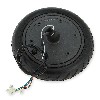 53-5000 Ruota anteriore completa da 250w per scooter Xiaomi m365, Parti XIAOMI M365