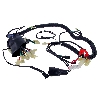 Cablaggio elettrico per Quad Shineray 300cc STE, Ricambi Quad Shineray 300