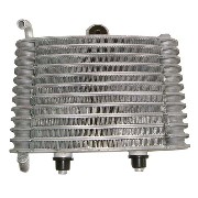 Radiatore per mini moto Polini GP3