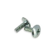 2 viti per carenatura M6x16 per quad Shineray 350cc