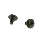2 viti per carenatura M6x10 per Mini Citycoco 