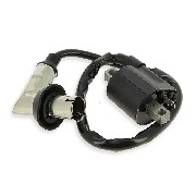Bobina di avviamento per Quad Shineray 350cc (type2)