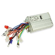 Controllore dimmer 1000W mini Citycoco