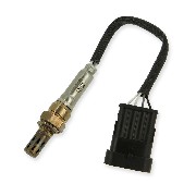 Sensore Lambda per Bashan BS250AS-43