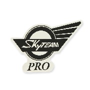 Adesivo SkyTeam Pro per serbatoio Skymini (sinistra)