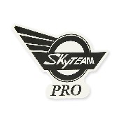 Adesivo SkyTeamPro  per serbatoio Skymini (destro)