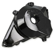 Carter per alternatore per Skyteam Trex 125cc 50cc (Nero)