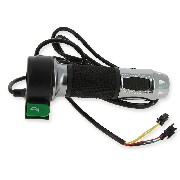 Presa acceleratore elettrico Citycoco (typo6)