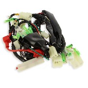 Cablaggio elettrico 3Dax per Skyteam Skymax 50cc EURO5